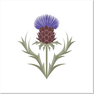 Plume thistle Posters and Art